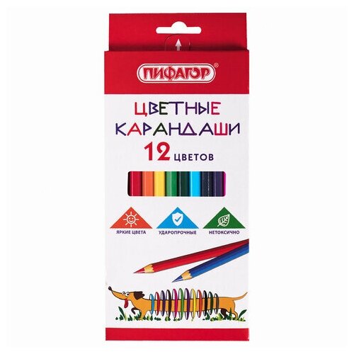 Карандаши цветные пифагор "Веселая такса", 12 цветов, шестигранные, натуральное дерево, 181806
