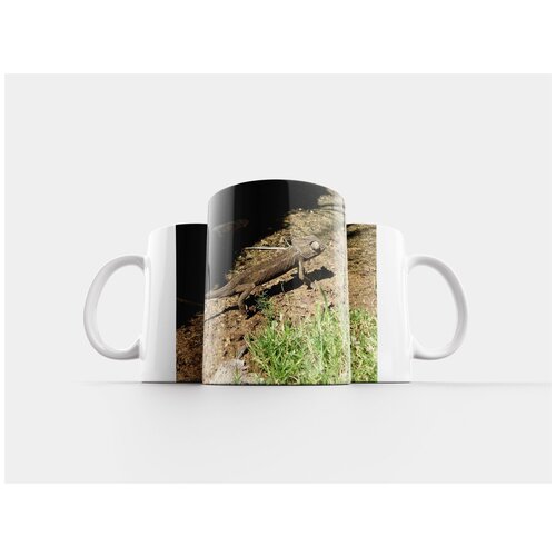 фото Кружка "хамелеон, животное, природа" 320 мл lotsprints