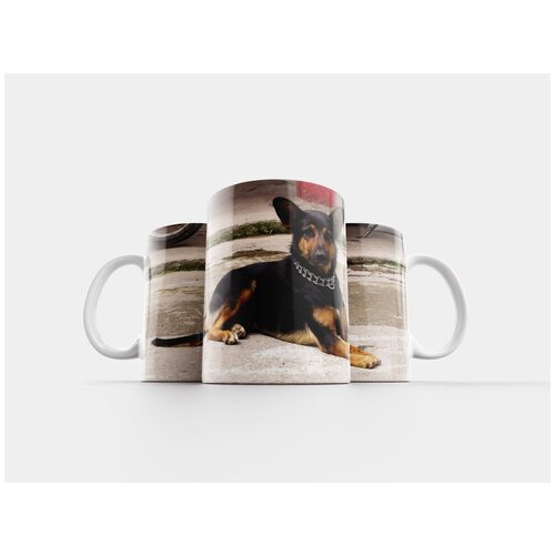 фото Кружка "животное, фауна, собака" 320 мл lotsprints