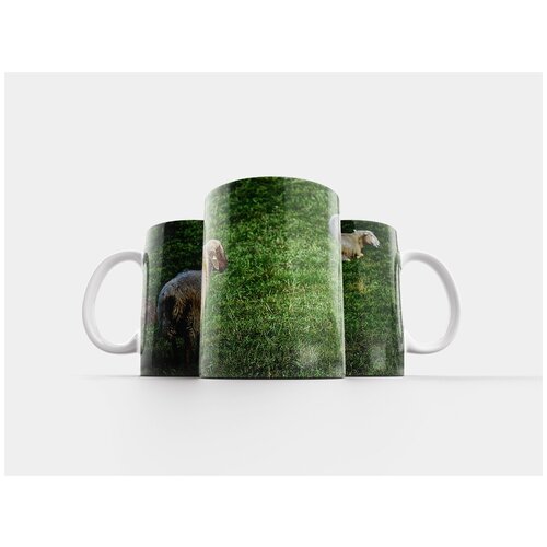 фото Кружка "овец, пастбище, шерсть" 320 мл lotsprints