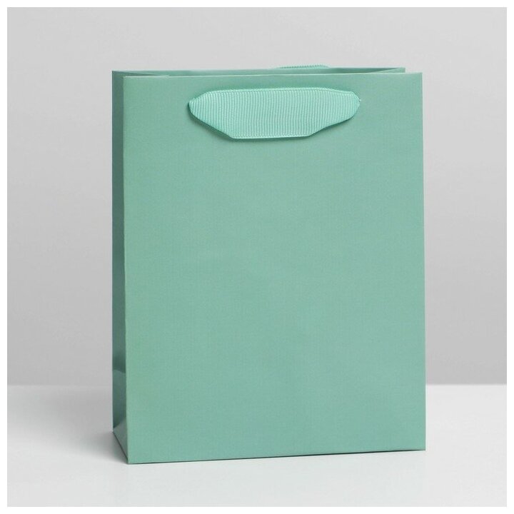 Пакет ламинированный «Тиффани», S 12 × 15 × 5,5 см