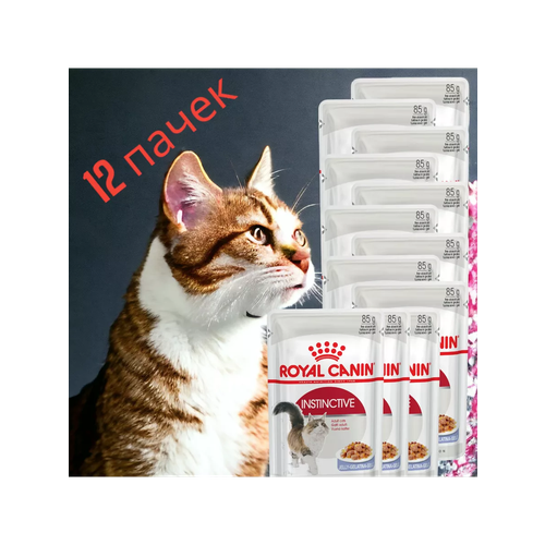 корм для взрослых кошек royal canin instinctive инстинктив корм консервированный желе 28x85г Корм консервированный для кошек Instinctive в желе 85гр,12шт