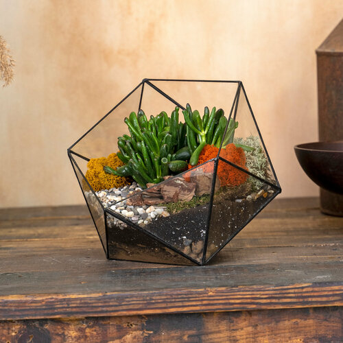 Террариум флорариум с суккулентами Хоббит Икосаэдр 5690₽