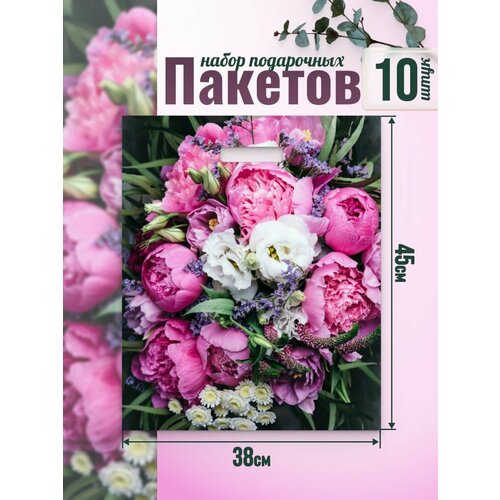 Подарочный полиэтиленовый пакет плотный с ручками 10 шт