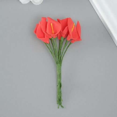 Декоративный цветок для творчества Калла красный, 144 шт. декоративный цветок для творчества калла красный 144 шт