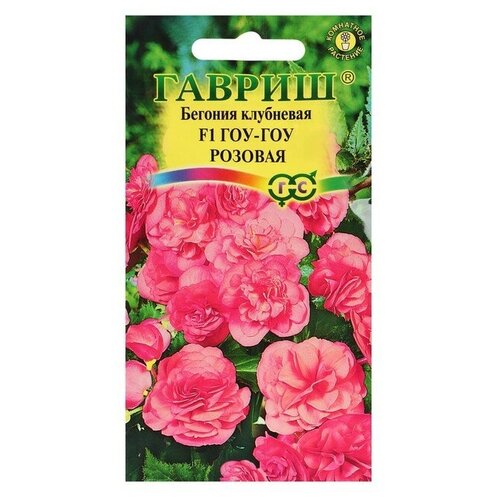 Семена комнатных цветов Бегония Гоу-гоу, розовая, F1, 4 шт.