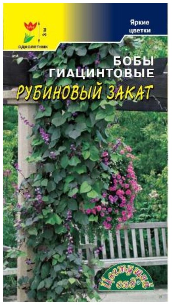 Долихос (гиацинтовые бобы) Рубиновый закат 1г Одн 300см (Цвет сад) 10 шт