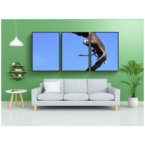 фото Набор модулных постеров для интерьера "орел, птица, летающий" 60x90 см. в тубусе, без рамки lotsprints