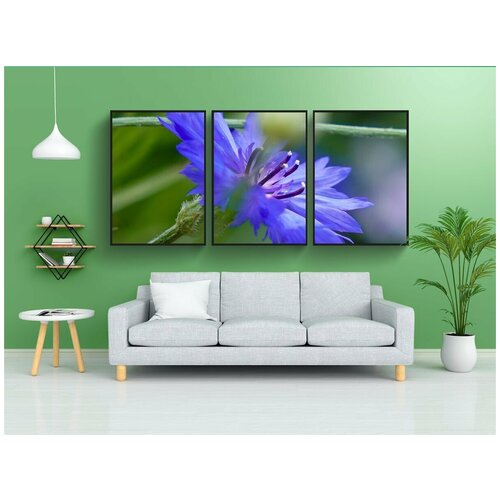 фото Набор модулных постеров для интерьера "цветок, васильковый, лепестки" 60x90 см. в тубусе, без рамки lotsprints