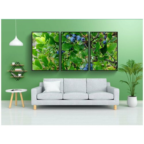 фото Набор модулных постеров для интерьера "черника, куст, кустарник" 60x90 см. в тубусе, без рамки lotsprints