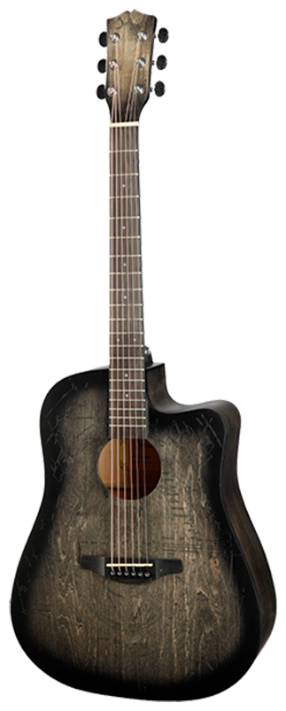 Shinobi D-11/TT - акустическая гитара c авторским рисунком