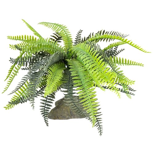 Искусственное растение  Lucky Reptile Fern IF-101  25 см зеленый