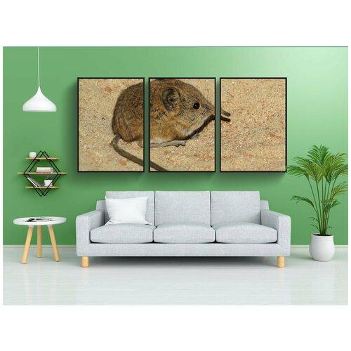 фото Набор модулных постеров для интерьера "слон, привередливая белка, африканская мышь" 60x90 см. в тубусе, без рамки lotsprints