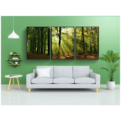 фото Набор модулных постеров для интерьера "лес, восход солнца, пейзаж" 60x90 см. в тубусе, без рамки lotsprints