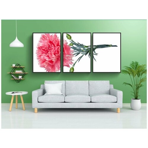 фото Набор модулных постеров для интерьера "цветок, розовый, гвоздика" 60x90 см. в тубусе, без рамки lotsprints