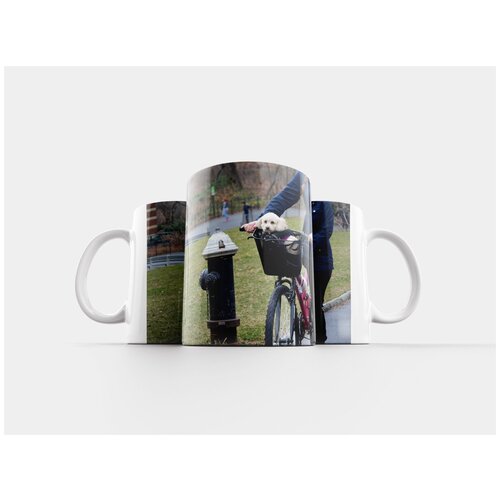 фото Кружка "щенок, собака, велосипед" 320 мл lotsprints