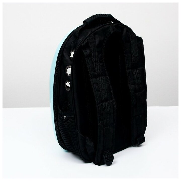 Рюкзак для переноски животных с окном для обзора "Гламуррр", 32 х 25 х 42 см, голубой 6971567