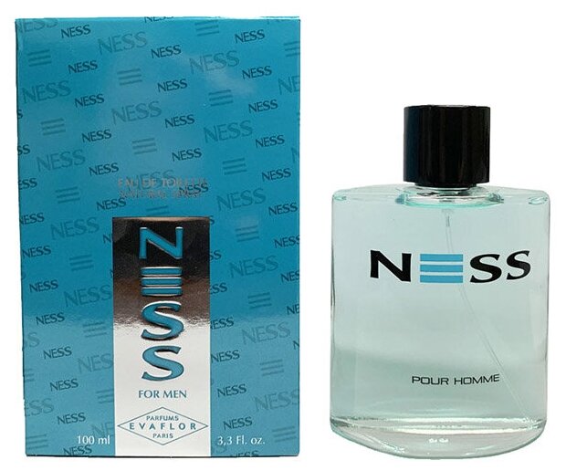 Parfums Evaflor Мужской Ness For Men Туалетная вода (edt) 100мл