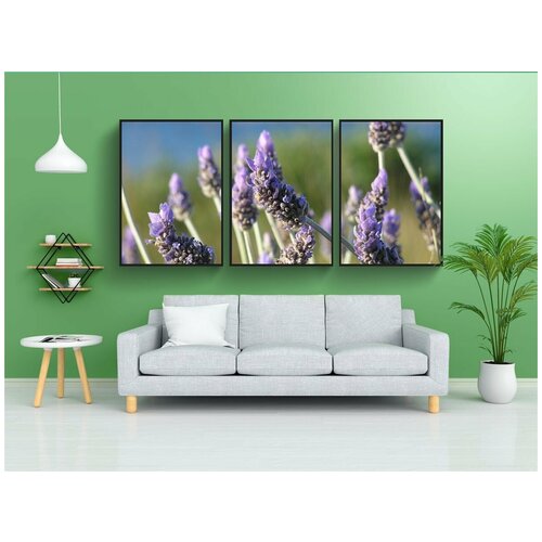 фото Набор модулных постеров для интерьера "лаванда, завод, цветок" 60x90 см. в тубусе, без рамки lotsprints