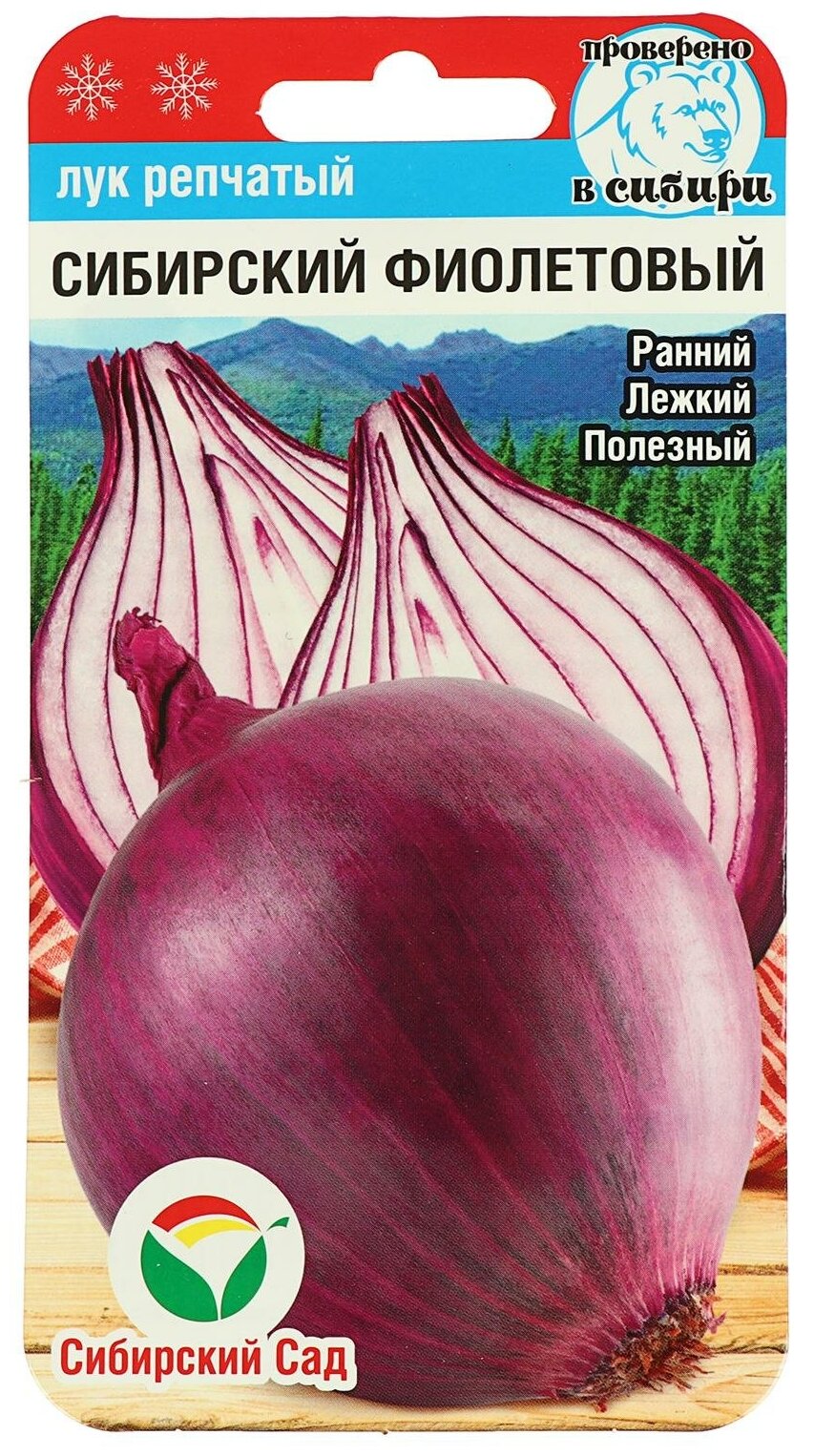 Лук Сибирский фиолетовый - описание, характеристики, агротехника ...