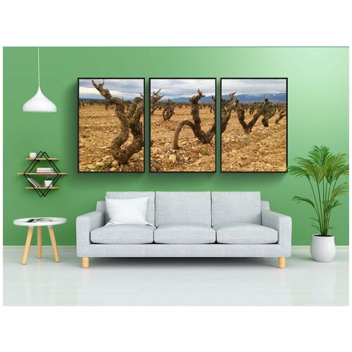 фото Набор модулных постеров для интерьера "fuenmayor, ла риоха, испания" 60x90 см. в тубусе, без рамки lotsprints