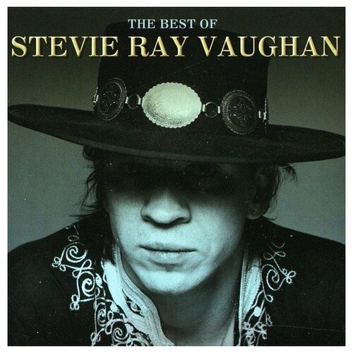 Stevie Ray Vaughan - The Best Of vaughan s little disasters