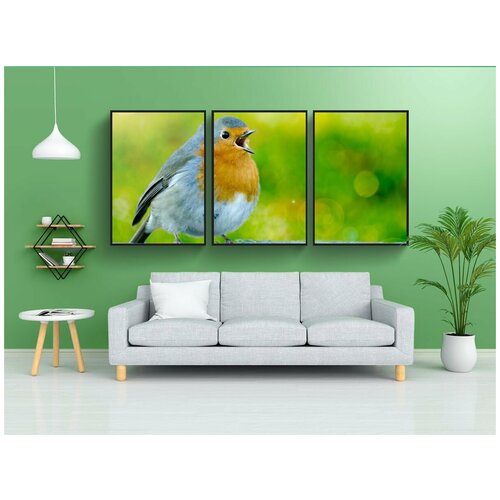 фото Набор модулных постеров для интерьера "робин, птица, никто не" 60x90 см. в тубусе, без рамки lotsprints