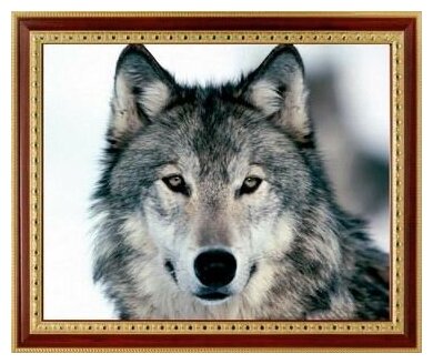 Алмазная мозаика Серый волк 25x20 см.