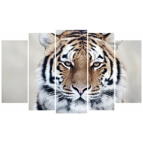 Модульная картина для интерьера / Картина на стену / Животные / «Тигр лицо» 80×140 см