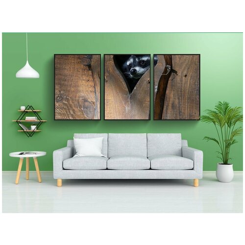 фото Набор модулных постеров для интерьера "сердце, животные, енот" 60x90 см. в тубусе, без рамки lotsprints