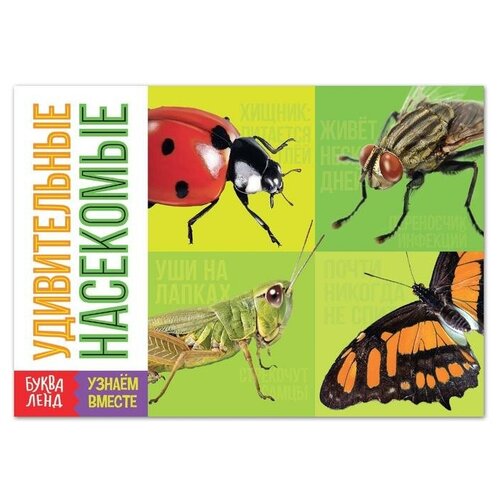 Обучающая книга «Удивительные насекомые», 20 стр. обучающая книга удивительные насекомые