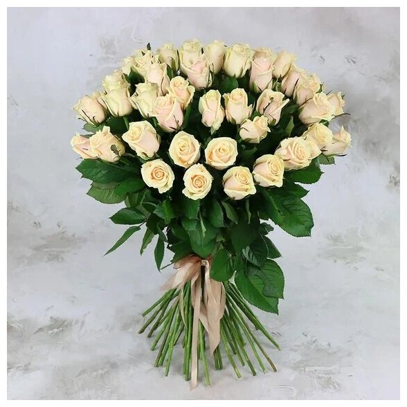 Букет живых цветов из 51 кремовой розы 60см