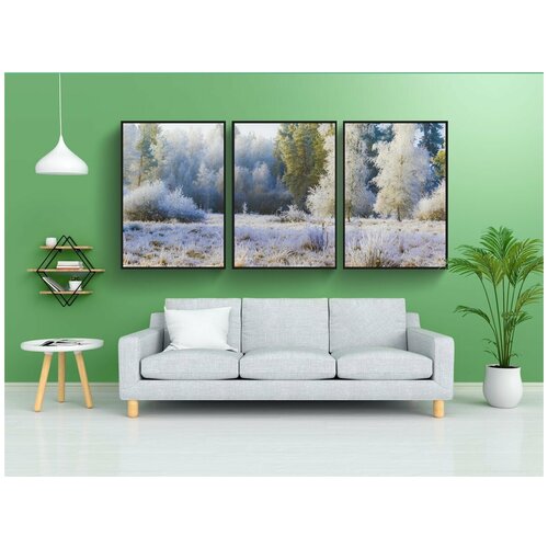 фото Набор модулных постеров для интерьера "иней, hoarfrost, rimer" 60x90 см. в тубусе, без рамки lotsprints