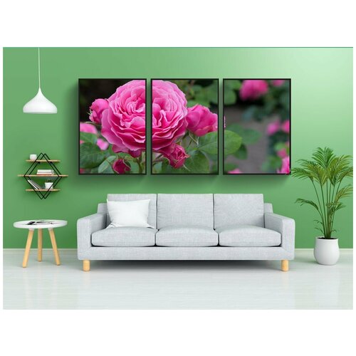 фото Набор модулных постеров для интерьера "роза, цветок, расцветает" 60x90 см. в тубусе, без рамки lotsprints