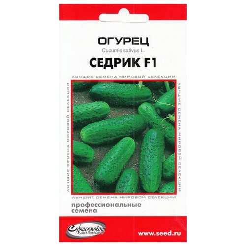 Огурец Седрик F1, 6 семян