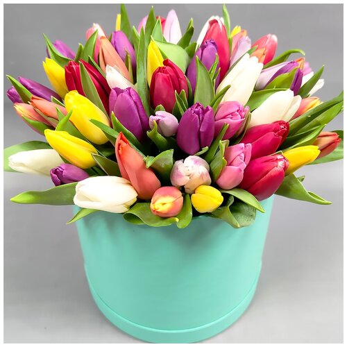 Тюльпаны разноцветные 51 шт. в коробке