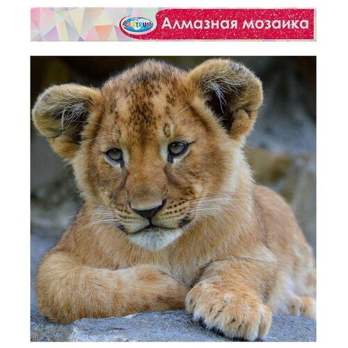 фото Косметичка на молнии, цвет белый gorodok