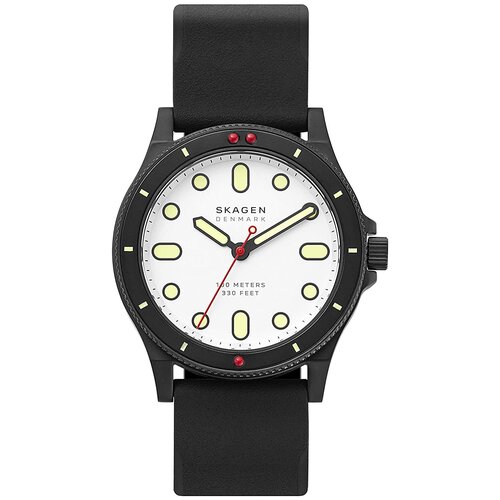 Мужские наручные часы Skagen SKW6667