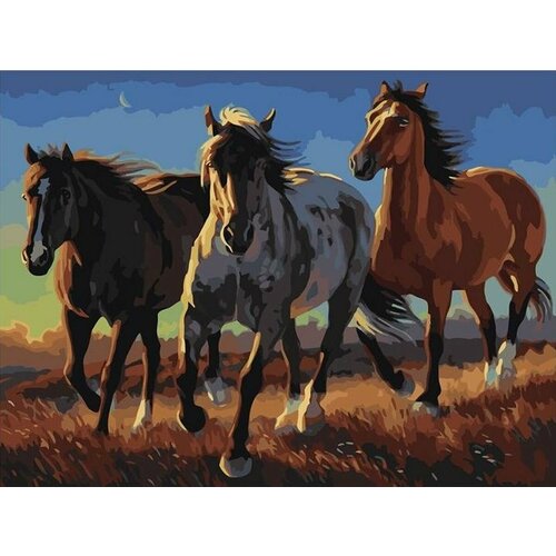 Картина по номерам на холсте 40*50 см Три коня в степи картина по номерам три резвых коня 40х50 см