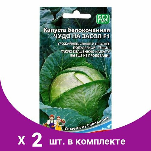 Семена Капуста 'Чудо на Засол' F1 для квашения и засола, кочан до 4 кг, 0,3 г (2 шт) капуста белокочанная чудо на засол f1 уд 0 3 г цв п