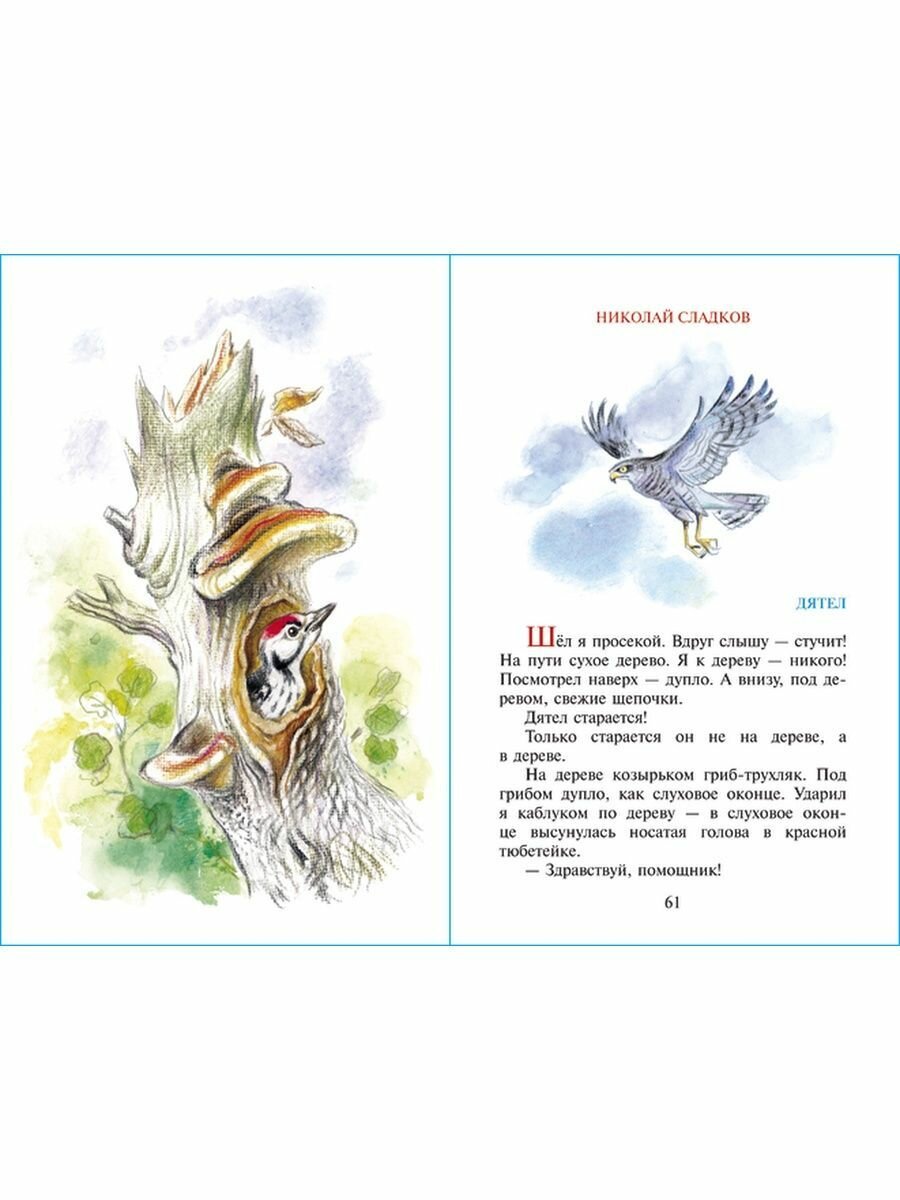 Рассказы о животных (Бианки Виталий Валентинович; Скребицкий Георгий Алексеевич; Пришвин Михаил Михайлович; Сладков Николай Иванович) - фото №9