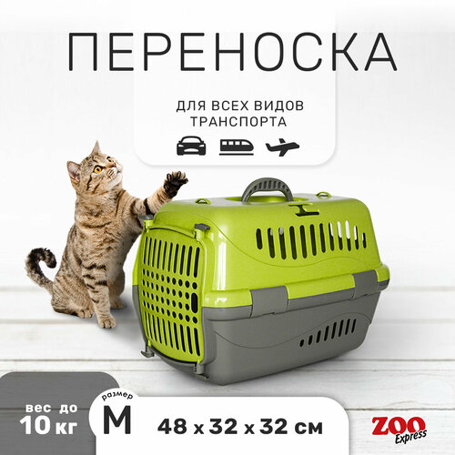 Переноска ZOOexpress Турне для кошек и собак мелких пород, цветная пластиковая дверца, 48х32х32 см (M), зеленый