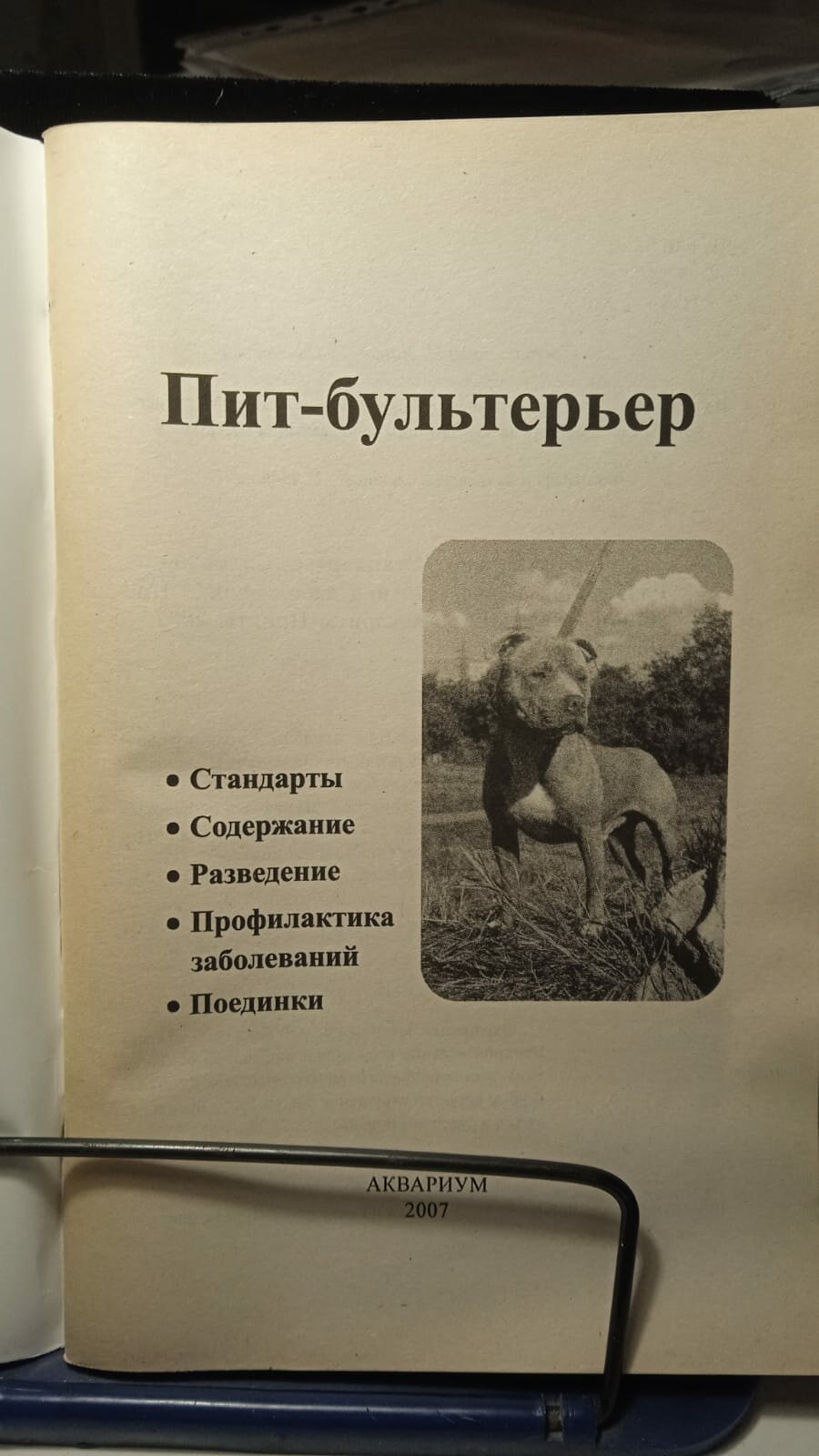 Пит-бультерьер. Стандарты. Содержание. Разведение. Профилактика заболеваний. Поединки - фото №3