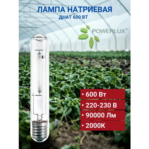 Лампа ДНаТ 600 Вт PowerLux