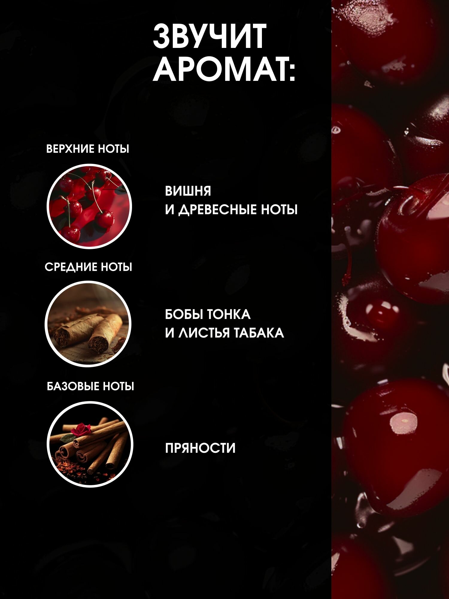 La Fabrique, Жидкое мыло для рук и тела с дозатором парфюмированное, аромат Табак и вишня, 300 мл — фото 1