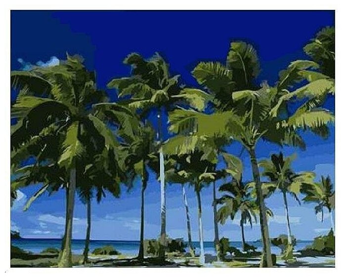 Картина по номерам Mariposa Кокосовые пальмы 40х50 см