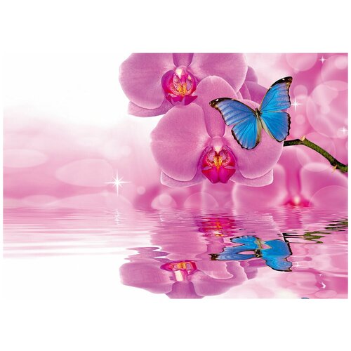 Розовая орхидея и синяя бабочка - Виниловые фотообои, (211х150 см)