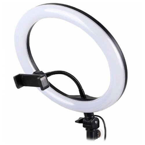 Кольцевая селфи-лампа 26 см 21 м 97900₽