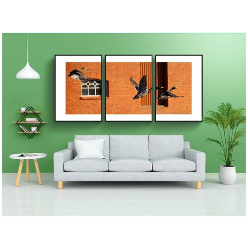 фото Набор модулных постеров для интерьера "утки, полет, скорость" 60x90 см. в тубусе, без рамки lotsprints