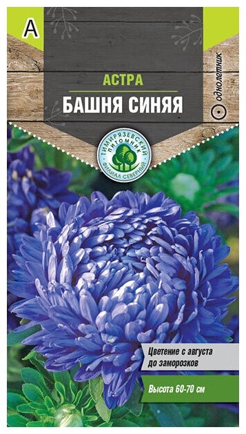 Семена Тимирязевский питомник цветы астра Башня синяя (пионовидная) 04 г Двойная фас